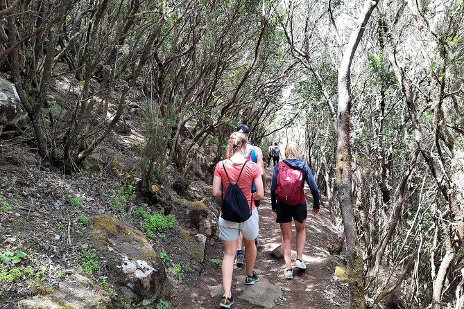 panoramic-route-across-the-teno-rural-park-in-tenerife