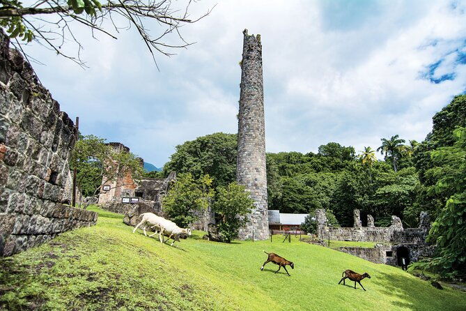 panoramic-sightseeing-tour-of-st-kitts