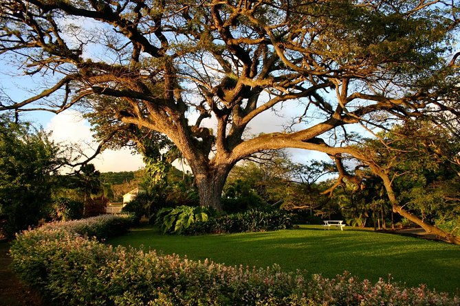 panoramic-sightseeing-tour-of-st-kitts