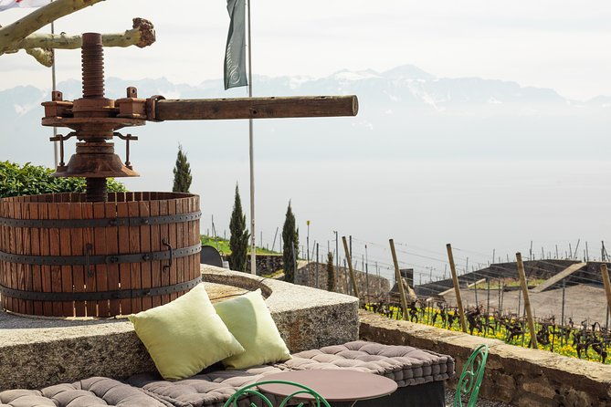 panoramic-wine-tour-from-lausanne