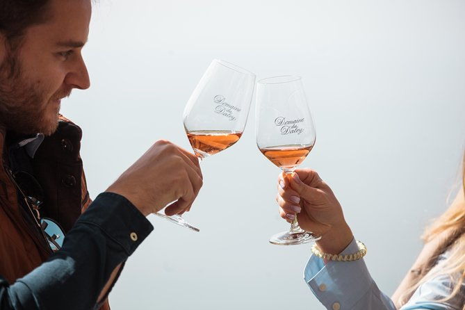 panoramic-wine-tour-from-lausanne