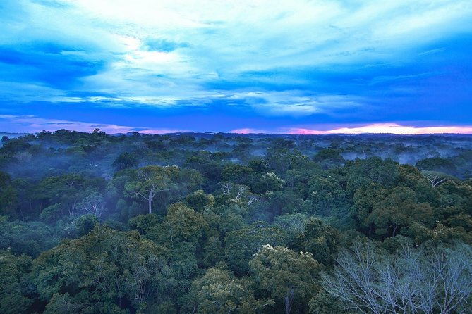 pantanal-amazon-holiday-private-multi-day-tour