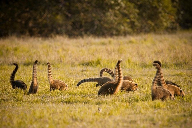 pantanal-bonito-private-multi-day-tour