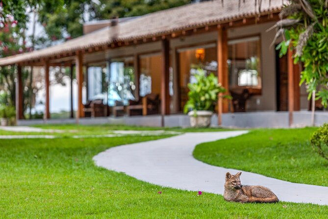 pantanal-norte-classic-package-2-3-or-4-nights