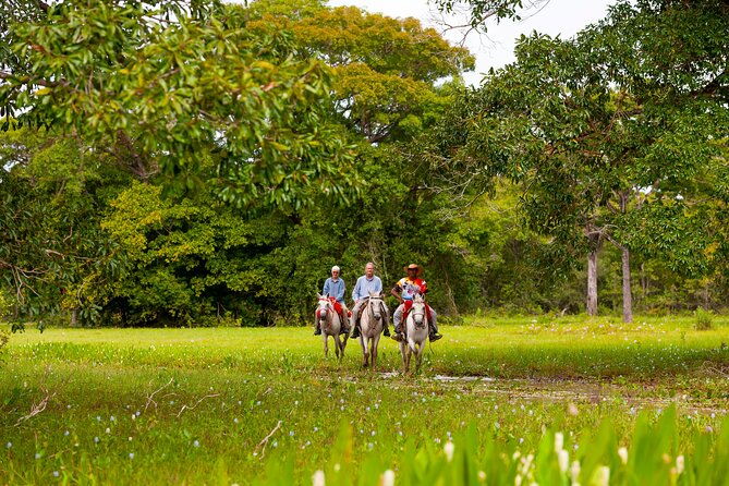 pantanal-norte-classic-package-2-3-or-4-nights