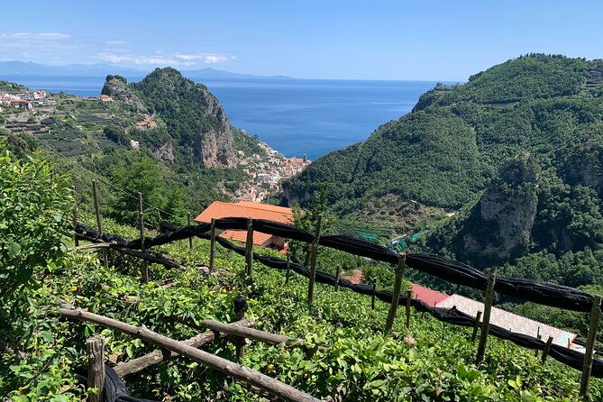 papermills-valley-including-ravello-and-amalfi