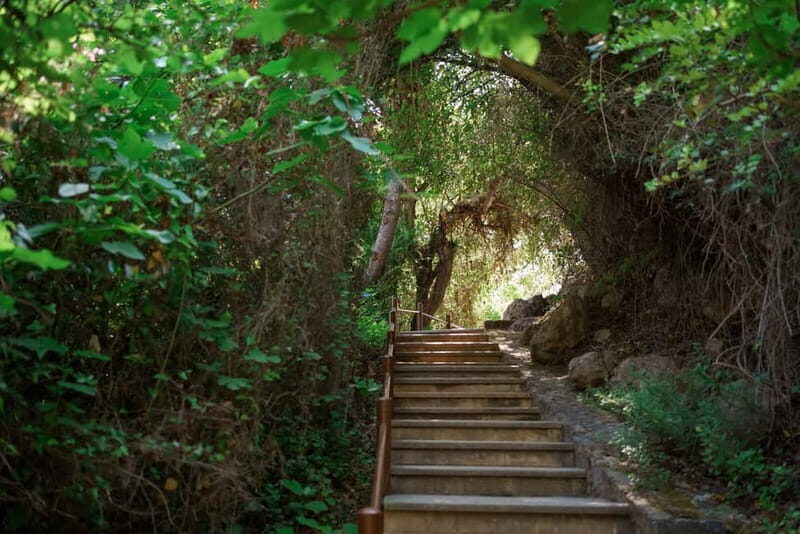 Paphos/Akamas: Blue Lagoon Bus & Boat Tour with Water Slide - Who Would Love This Tour?