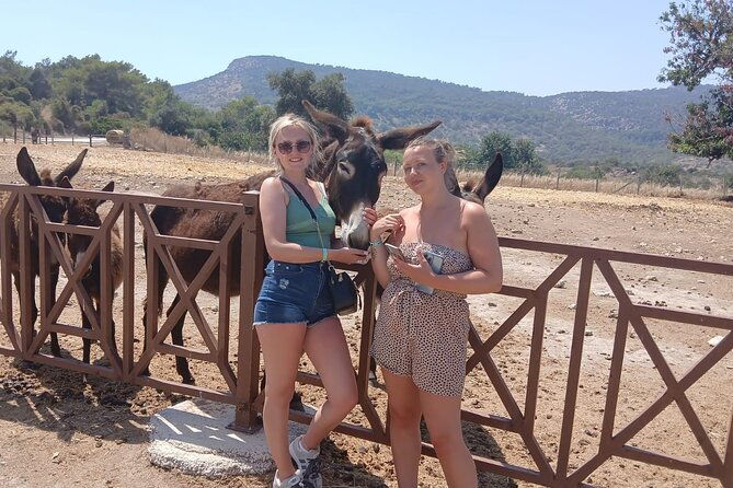 paphos-akamas-gorge-turtle-bay-donkey-farm-jeep-safari-tour