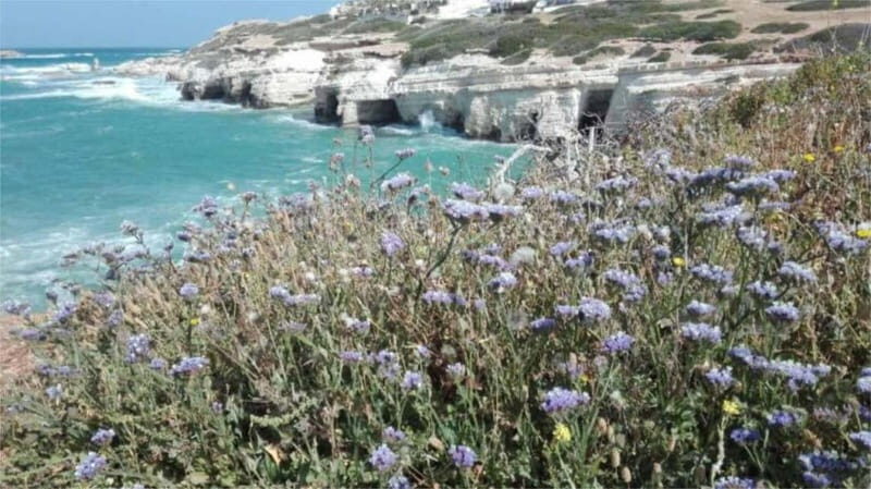 Paphos: Akamas, Waterfalls & Blue Lagoon of Aphrodite Tour - The Itinerary in Detail