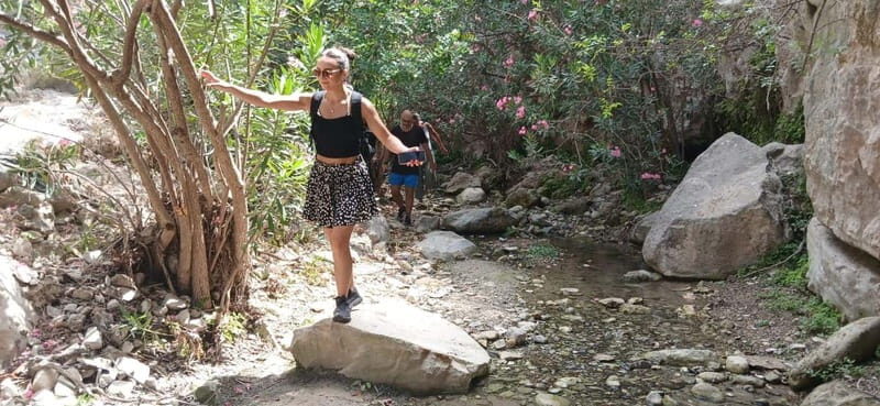 Paphos: Avakas Gorge & Turtle Bay Jeep Tour with Donkey Farm - FAQ