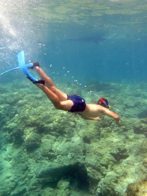 Paphos: Blue Lagoon Cruise-BBQ Lunch, Open Bar, Slide - Why You’ll Love the Blue Lagoon Cruise