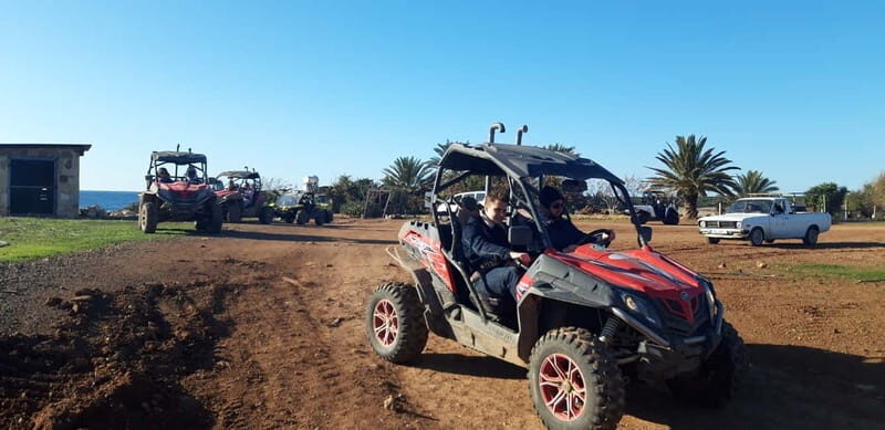 Paphos: Buggy Safari to Akamas Peninsula with Lunch - What to Expect on the Safari