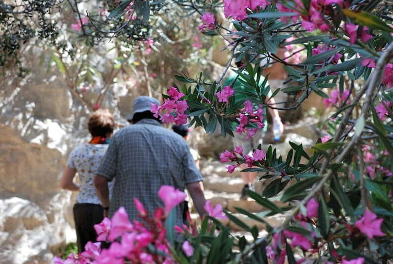 Paphos: Land Rover Jeep Safari Coastal Tour and Blue Lagoon - Final Thoughts