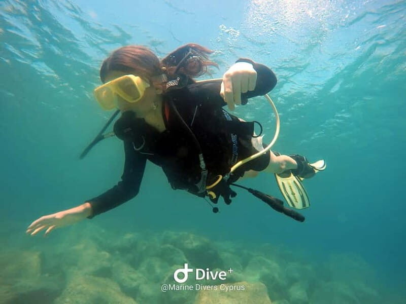 Paphos: Professional Dive Experience PADI British Instructor - Who Will Love This Experience?