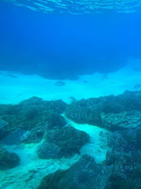 Paphos: Sunset Cruise, Turtle Watching, & Unlimited Drinks - Frequently Asked Questions