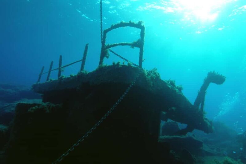 Paphos: The Yellow Glass-Bottom Boat Cruise Swim & Snorkel - Final Thoughts