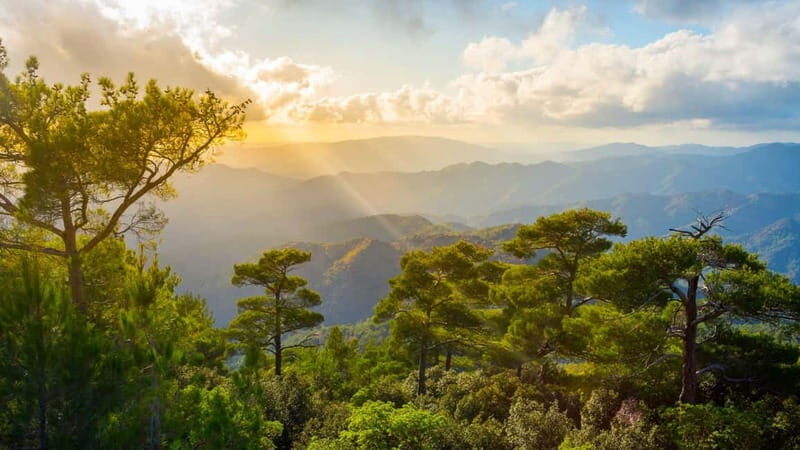 PAPHOS: Troodos Mountains "Monasteries & Villages" by coach - Final Thoughts: Is This Tour Right for You?