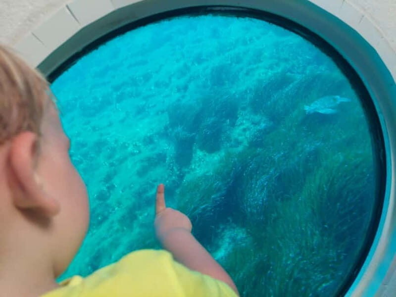 Paphos: Turtle Watching Cruise,Snorkelling Adventure &Sunset - Practical Details: What You Need to Know