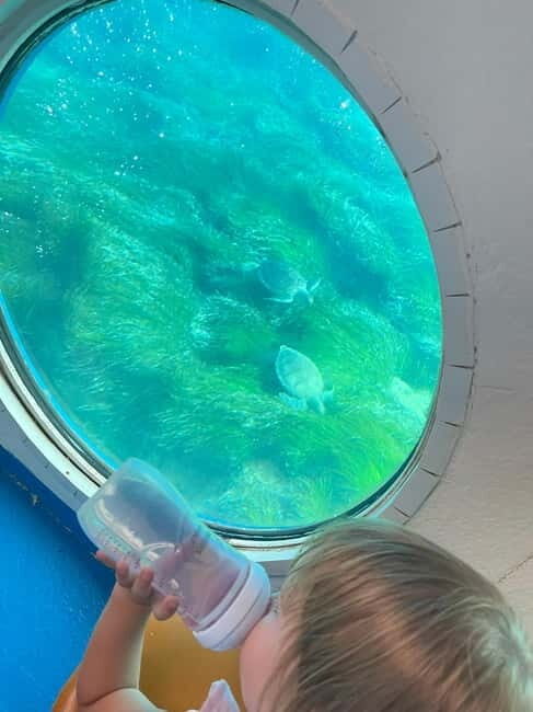 Paphos: Turtle Watching Cruise,Snorkelling Adventure &Sunset - Frequently Asked Questions
