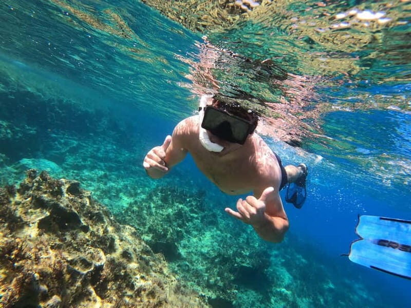 Paphos: Turtle-Watching Snorkeling Sea Scooter Trip - Authentic Insights from Reviewers