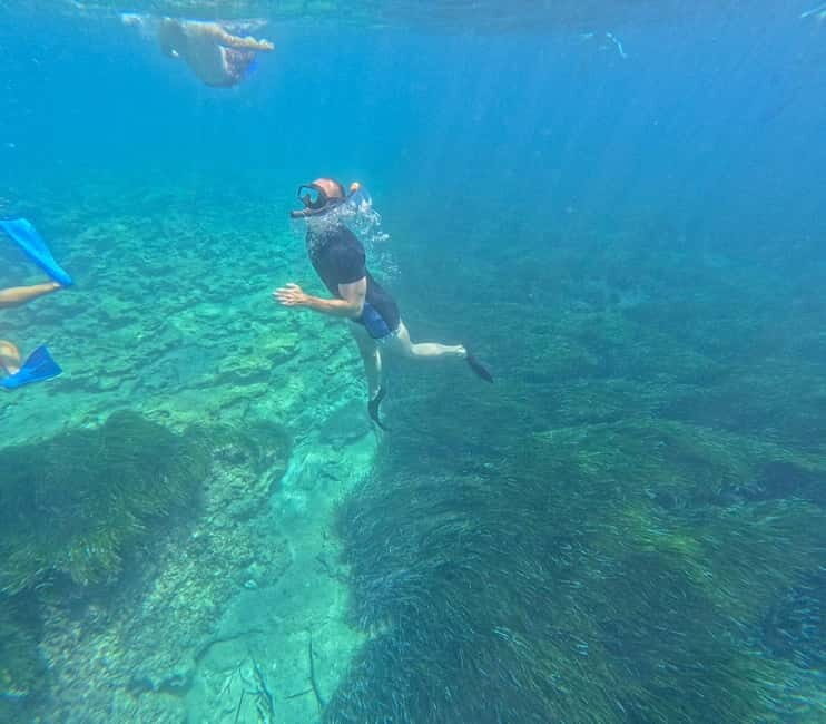 Paphos: Turtle-Watching Snorkeling Sea Scooter Trip - Final Thoughts: Is This Tour Right for You?