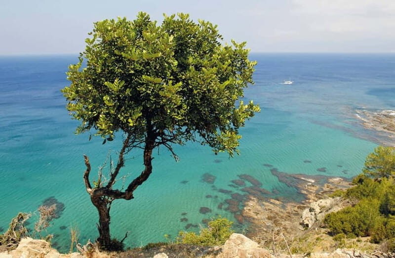 Paphos: Zoo Visit and Blue Lagoon Cruise with Guide & Lunch - Final Thoughts