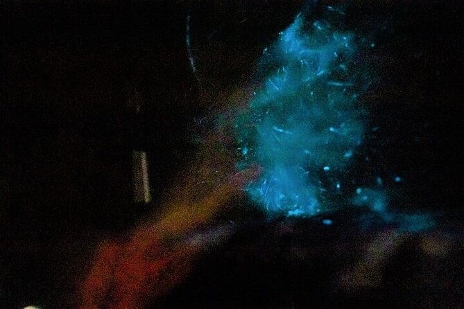 paquera-bioluminescence-tour-by-kayak