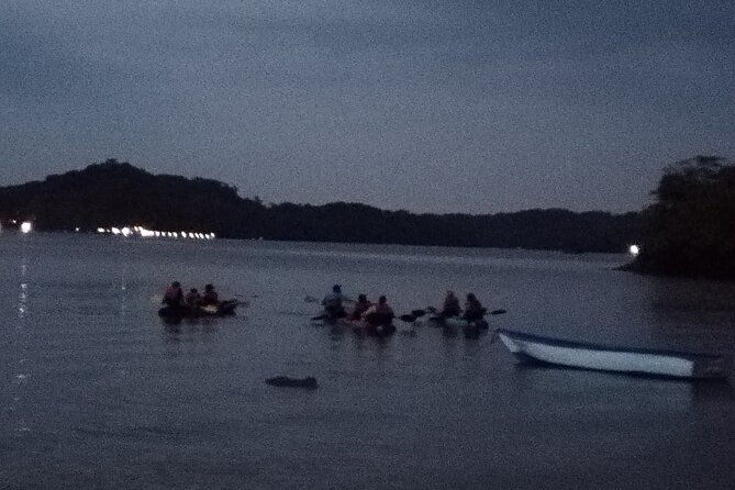 paquera-bioluminescence-tour-by-kayak