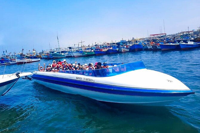 paracas-and-huacachina-from-lima-ballestas-islands-and-sandboarding