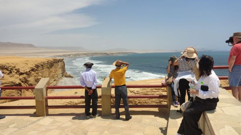 paracas-ballestas-island-nature-reserve-all-inclusive