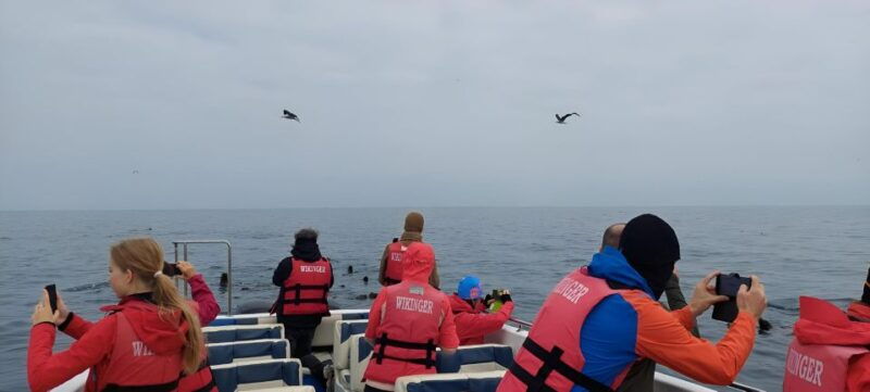 paracas-ballestas-island-nature-reserve-all-inclusive