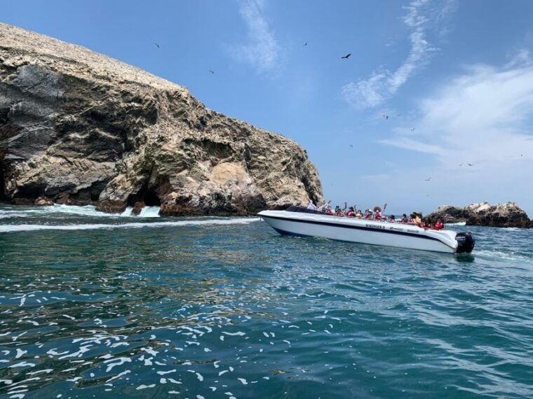 paracas-ballestas-island-nature-reserve-all-inclusive