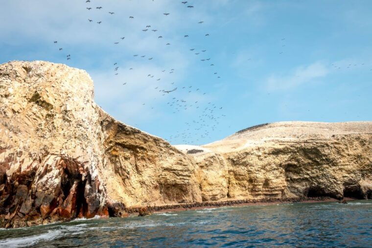 paracas-ballestas-island-nature-reserve-all-inclusive