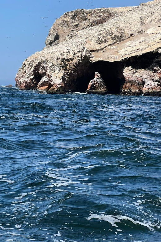paracas-ballestas-islands-and-national-reserve