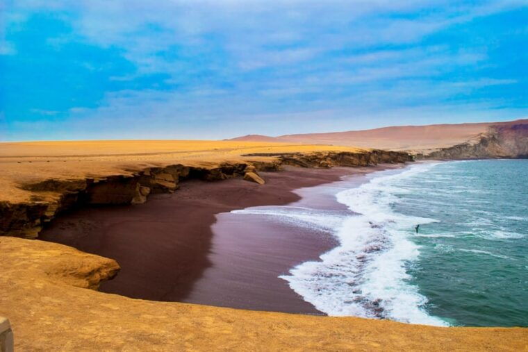 paracas-ballestas-islands-and-paracas-national-reserve-tour-2