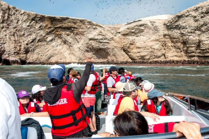 paracas-ballestas-islands-boat-ride-tour