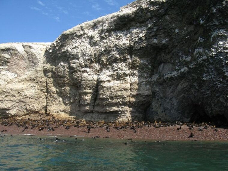 paracas-ballestas-islands-boat-ride-tour