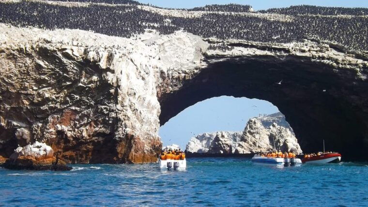 paracas-ballestas-islands-boat-tour-ballestas-islands