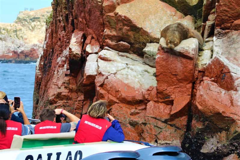 paracas-ballestas-islands-guided-boat-tour