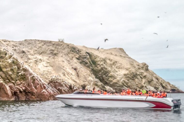 paracas-ballestas-islands-morning-boat-tour