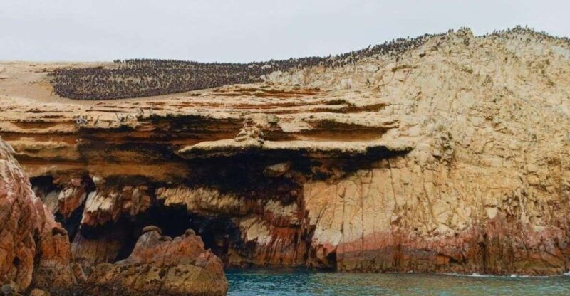 paracas-ballestas-islands-paracas-national-reserve