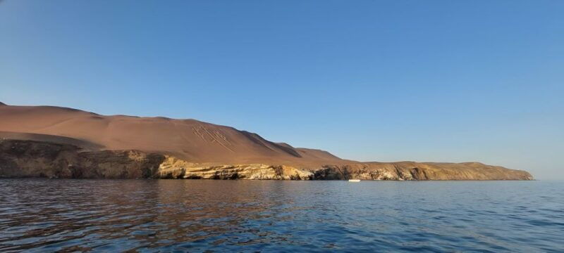 paracas-ballestas-islands-tour-all-inclusive
