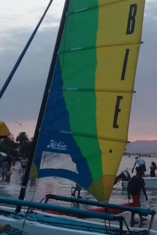 paracas-bay-catamaran-adventure