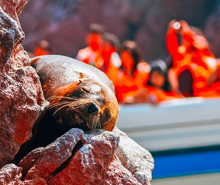 paracas-full-day-ballestas-islands-golden-shadow-trek