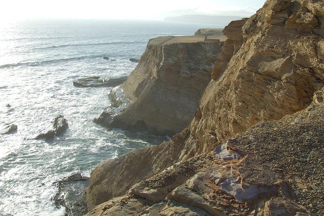 paracas-full-day-islas-ballestas-national-park-and-sandboarding-in-paracas