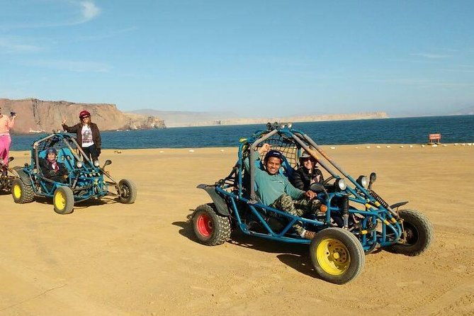 paracas-fullday-ballestas-islands-and-national-park-in-minibuggy