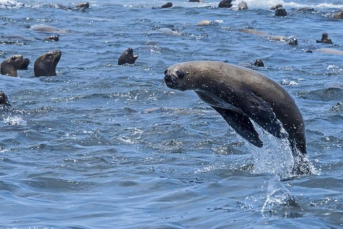 paracas-huacachina-and-nazca-2day-1night-tour-from-lima