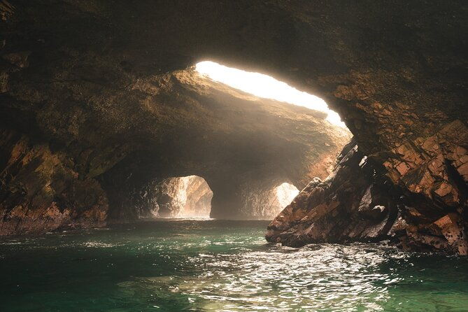 paracas-ica-and-huacachina-day-trip-from-lima-mini-galapagos