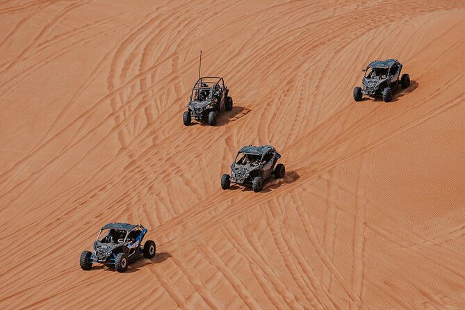 paracas-ica-and-huacachina-day-trip-from-lima-mini-galapagos