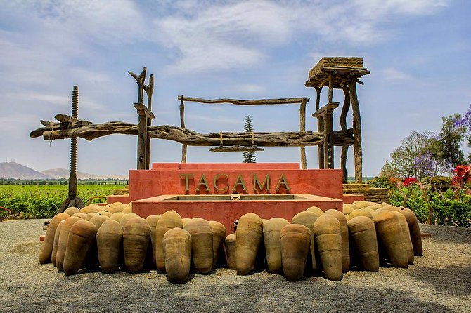 paracas-ica-full-day-private-tour